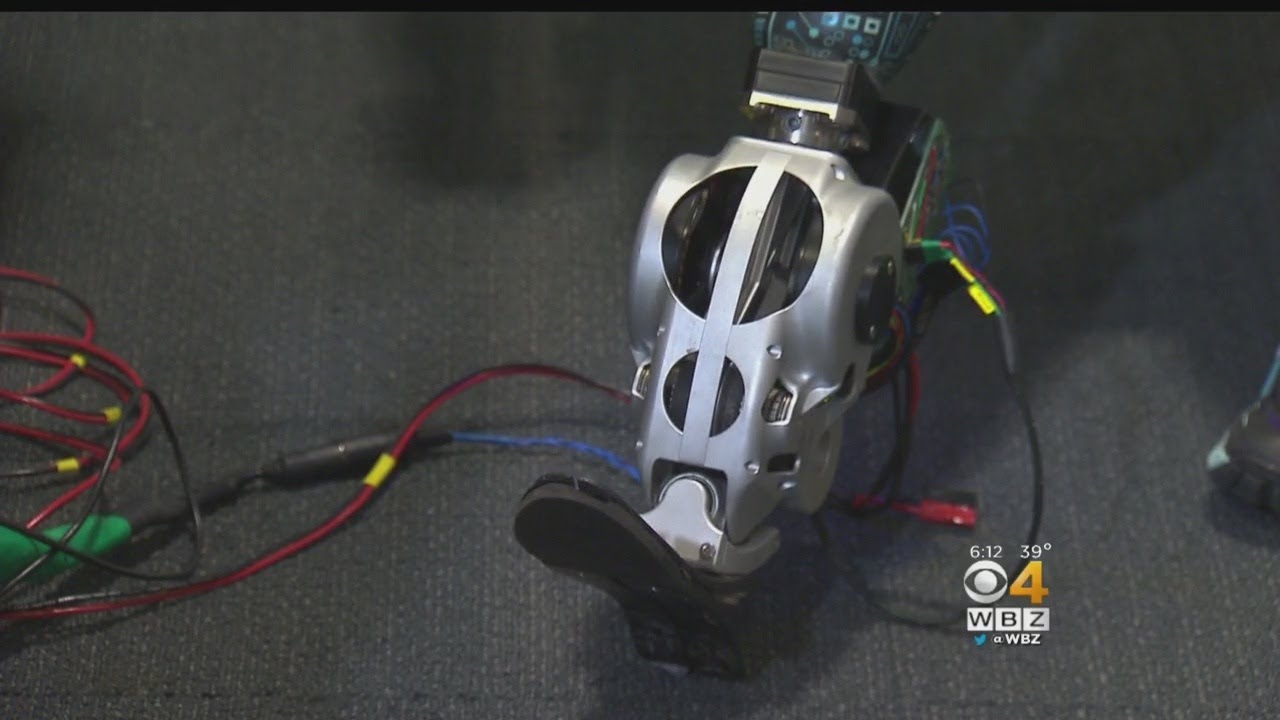 Mind-Controlled Bionic Limbs Developed At MIT