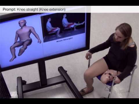 Development and Testing of Myoelectric Control of a Virtual Lower Limb Prosthesis for Individuals Wi