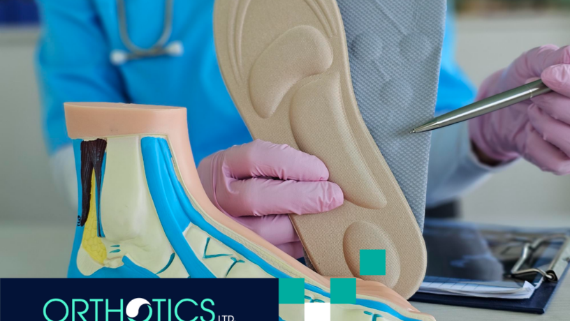 A model of a foot used for clinics and foot insoles held by a doctor