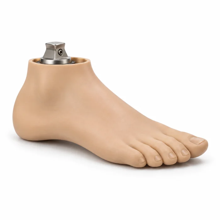 Passive external prosthetic foot illustration